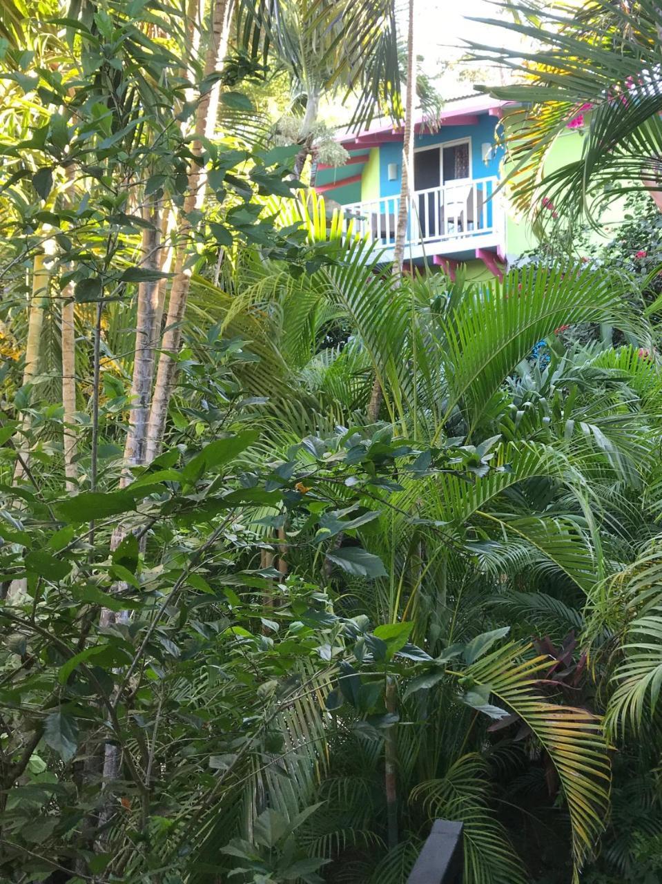 Tamarindo Village Hotel Exterior foto